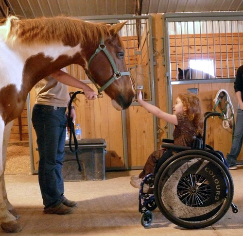 Animal Assisted Therapy Horse Therapy Dog Therapy North Coast Medical